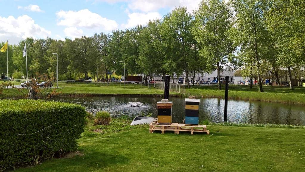 Nationale Bijenstrategie Bed & Breakfast for Bees